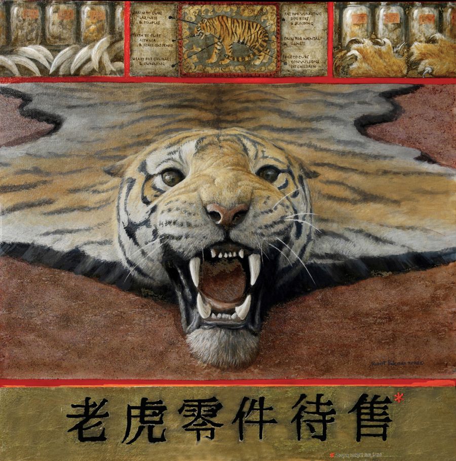 <who>Copyright Robert Bateman</who> Tiger Trade, 36” x 36”, acrylic & gold leaf on canvas, 2008.