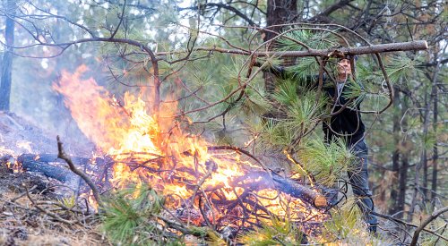 Burn, baby, Burn. RDOS Area F pilots wildfire risk reduction program on West Bench
